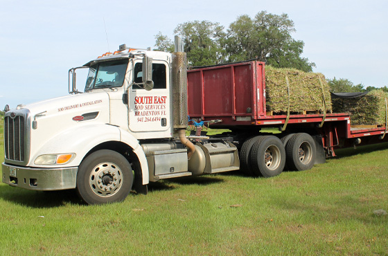 southeast-sod-delivery